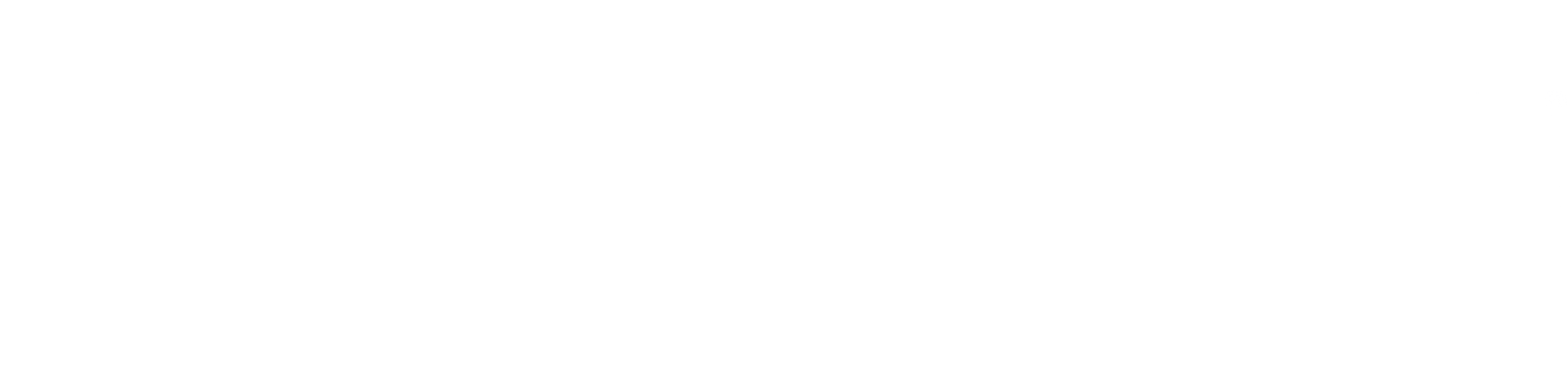 STF - full logo - all white